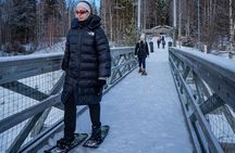 Rovaniemi: Snowshoe Adventure at Vikaköngäs & Barbeque