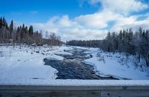 Rovaniemi: Snowshoe Adventure at Vikaköngäs & Barbeque