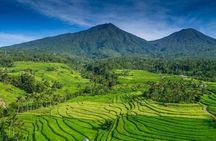 Explore Munduk Customized 6 Hour Day Tour in North Bali 