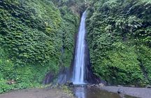 Explore Munduk Customized 6 Hour Day Tour in North Bali 