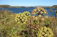 Private Diamond Circle Tour from Akureyri