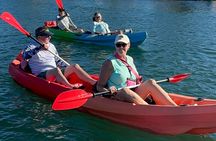 Crystal River: Tandem Kayak Rental to Three Sisters Springs