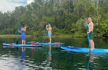 Paddleboard Rental – Three Sisters Springs & Manatee Refuge