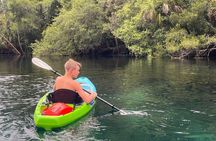 Clear Bottom Kayak Rental for Kings Bay Three Sisters Springs