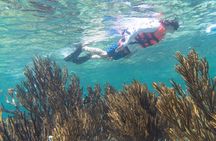 Mesoamerican Reef Snorkeling Adventure