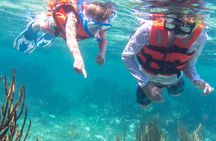 Mesoamerican Reef Snorkeling Adventure