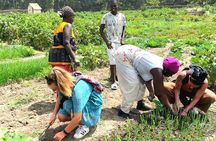 Senegambia Highlights Cultural and Adventure Tours