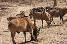 Senegambia Highlights Cultural and Adventure Tours