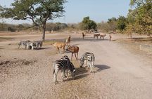 Senegambia Highlights Cultural and Adventure Tours