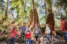 The Stanley Park Family Tour by Cycle City Tours