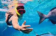 Top Experience: Snorkel Tour & All Inclusive Beach Club