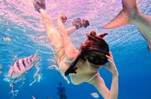Top Experience: Snorkel Tour & All Inclusive Beach Club