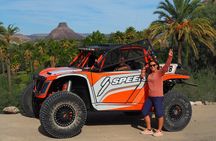 Drive like a Baja 1000 driver in a Speed UTV in Loreto