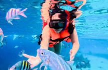 Top Experience: Snorkel Tour & All Inclusive Beach Club