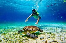 Top Experience: Snorkel Tour & All Inclusive Beach Club