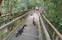 Private Iguazu Falls BRA & ARG 2 Days + Boat Option. Exciting.