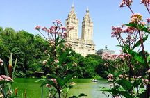Central Park Cell Phone and Selfie Photo Tour