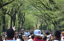 Central Park Cell Phone and Selfie Photo Tour