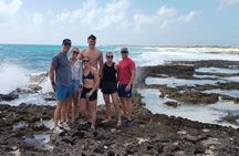 Private Tour in Cozumel with Lunch and Tequila Tasting