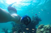 Tour Cozumel Island + Snorkel + Beach + Buggy + Lunch