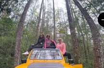 Batur Volcano Jeep Sunrise & Black Lava Experience All included