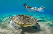 Abu Dabbab Turtle Watching & Snorkeling Adventure from Hurghada