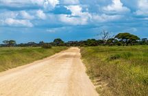 Amboseli National Park and Masai Village Day Trip From Nairobi