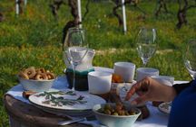 Picnic aperitif in the vineyard of an ancient trullo in Martina Franca