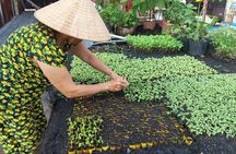 Floating Market, Cacao Farm and Mekong' Tour from Can Tho