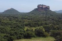 Private Sigiriya Tour from Kandy to Dambulla & back to Kandy