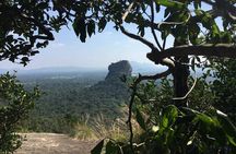 Private Sigiriya Tour from Kandy to Dambulla & back to Kandy