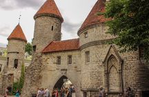 Tallinn 3h Walking Small Group Tour Max 10 People 