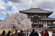 Nara’s Heritage and Sake: A Guided Cultural Walking Tour