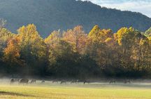 Kuwohi Mountain Great Smoky Mountains Tour