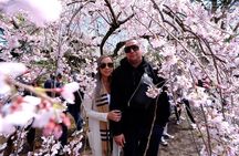 KYOTO Explore Top Highlights by Private Walking Tour