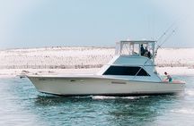 Private Fishing Charters from Destin Harbor