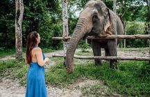 Taj Mahal Tour with Fatehpur Sikri and Elephant SOS From Delhi