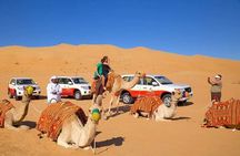 Premium Desert Safari Dubai Camel Riding with BBQ Buffet Dinner