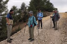 Fes To Zalagh Hiking experience All Inclusive