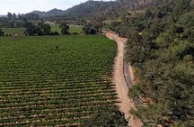 Vine Trail Discovery E-Bike Tour