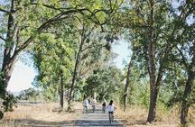 Vine Trail Discovery E-Bike Tour