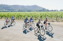Vine Trail Discovery E-Bike Tour