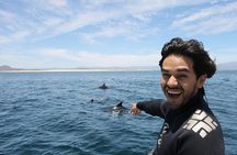 Cabo Ocean Safari Snorkel Adventure