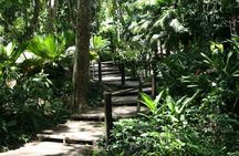 Half-Day Nadi Tour: Lookout, Temple & Village