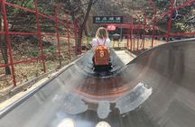 Forbidden City,Mutianyu Great Wall Private Tour with Local Expert