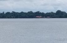 Orangutan Island, A Responsible Wildlife Sanctuary Experience