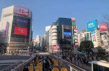 Sky Hop Bus Tokyo