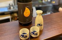 Osaki, Togoshi Ginza Private Walking Food , Izakaya dinner tour