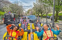 Go Kart Tokyo Spring Tour Experience