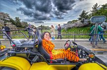 Go Kart Tokyo Spring Tour Experience